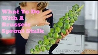 What To Do With A Brussels Sprouts Stalk [upl. by Tilden]