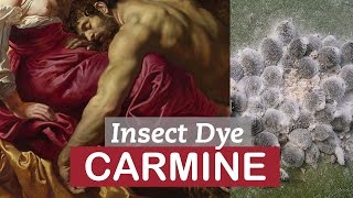 Food dye made of BUGS Carmine Red  LittleArtTalks [upl. by Adlanor]