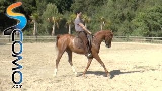 Cómo frenar y hacer correr un caballo  Curso hípica [upl. by Jennine43]