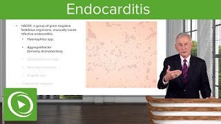 Endocarditis Definition Pathology Classification amp Diagnosis – Infectious Diseases  Lecturio [upl. by Anauj]