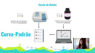 Laboratório em Bioquímica  Espectrofotometria e CurvaPadrão [upl. by Zannini]