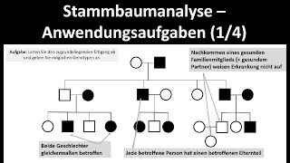 Stammbaumanalyse  Anwendungsaufgaben 14  Biologie Oberstufe [upl. by Nnire145]