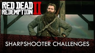 Red Dead Redemption 2 Sharpshooter Challenges Guide [upl. by Nnairda88]