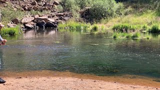 Dry Fly Fishing Beaver Creek below Skaguay Reservoir Colorado Sept 2019 [upl. by Derron]