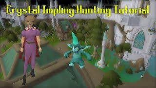 Crystal Impling Hunting Guide OSRS [upl. by Aikrahs]