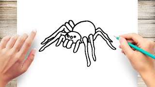 How to Draw a Spider Step by Step [upl. by Saibot]