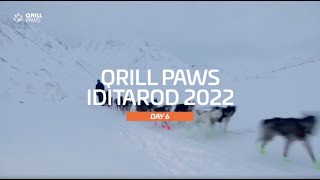 Iditarod Highlights  DAY 6  QRILLPAWS 2022 [upl. by Irok]