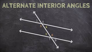 What are Alternate Interior Angles [upl. by Roanna]