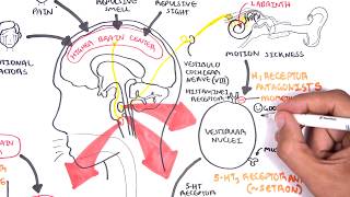 Pharmacology  Antiemetics [upl. by Rog327]