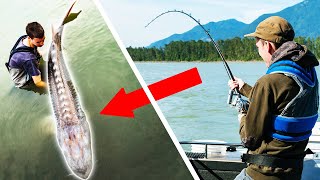 Top 10 best fishing catches [upl. by Eneryc]