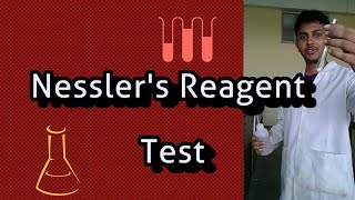 Nesslers Reagent Test [upl. by Lyred180]