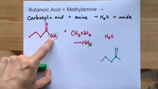 Butanoic Acid  Methylamine   Nmethylbutanamide  Water [upl. by Duarte137]