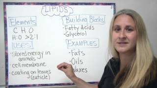 Organic compounds  4 main types described [upl. by Delanty904]