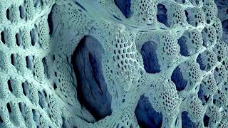 The Mandelbulb  3D Fractal Tour in 8k [upl. by Dasha492]