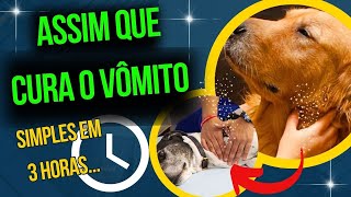 Causas do Vomito ou Regurgitação nos Cães Alimentação Inadequada ou Outras doenças [upl. by Bainter]